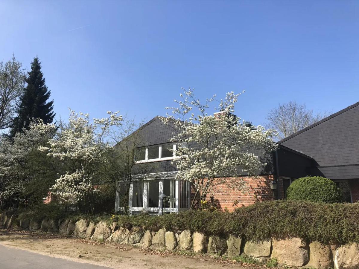 Landhaus Bleckede - App 2 Lueneburg 外观 照片